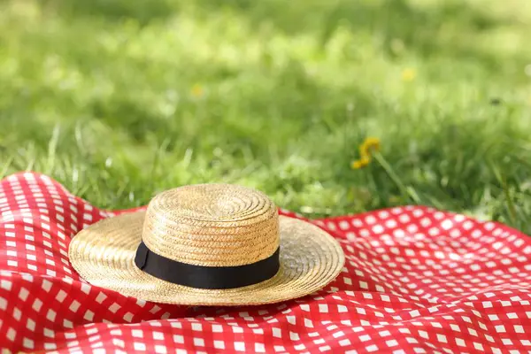 Hasır şapka ve battaniye yeşil çimlerin üzerinde Açık alan metin için