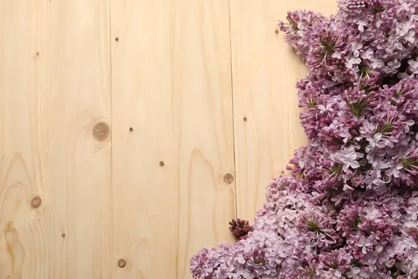 Ahşap masada güzel leylak çiçekleri, düz bir şekilde yatıyordu. Metin için boşluk