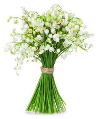 Bir buket güzel zambak vadi çiçekleri bembeyaz