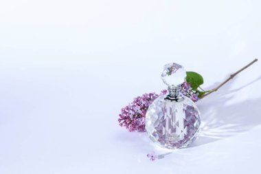 Parfüm şişesi ve açık gri arka planda leylak çiçekli dal. Metin için boşluk