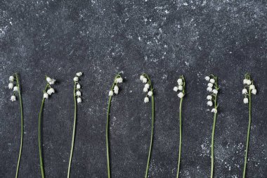 Siyah desenli arka planda, vadideki güzel zambak çiçekleri, düz uzanış. Metin için boşluk