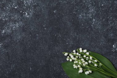 Siyah desenli arka planda, vadideki güzel zambak çiçekleri, üst manzara. Metin için boşluk