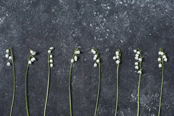 Siyah desenli arka planda, vadideki güzel zambak çiçekleri, düz uzanış. Metin için boşluk