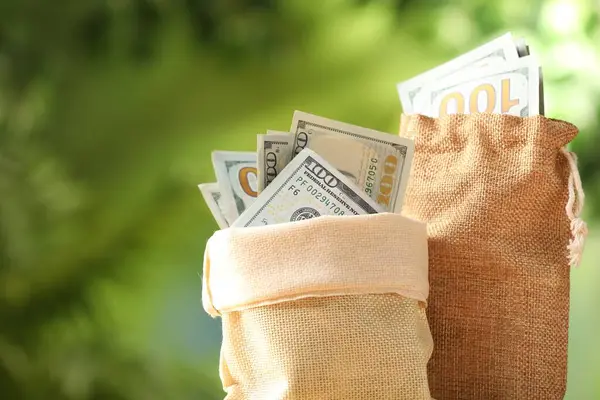 Bulanık yeşil arka planda dolar banknotları olan para çantaları, yakın plan. Metin için boşluk