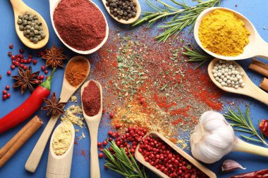 Mavi arka planda farklı aromatik baharatlar, düz yatış