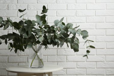 Beyaz tuğla duvarın yanındaki masada vazoda yeşil okaliptüs dalları var.