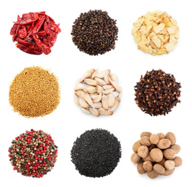 Beyaz arka planda farklı aromatik baharatlar, set. Üst görünüm