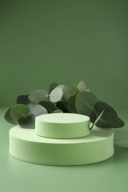 Yeşil arka planda güzel okaliptüs dalları var. Metin için boşluk