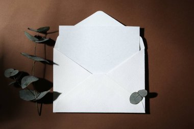 Zarftaki boş tebrik kartı ve kahverengi arkaplanda okaliptüs yaprakları, düz uzanma