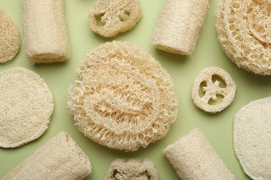 Yeşil arka planda doğal lif süngerleri, düz yatış