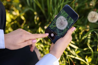 Açık havada akıllı telefondan bitki tanıma uygulaması kullanan bir kadın.