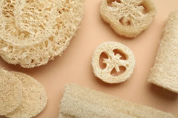 Bej arka planda doğal lif süngerleri, düz yatış