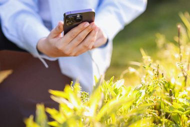 Güneşli bir günde akıllı telefondan bitki tanıma uygulaması kullanan bir kadın.