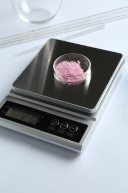 Beyaz arka planda Petri kabı ve diğer laboratuvar ekipmanları ile ölçeklendir, yakın plan