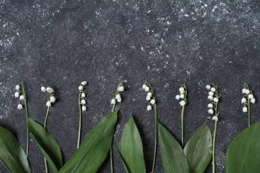 Siyah desenli arka planda, vadideki güzel zambak çiçekleri, düz uzanış. Metin için boşluk