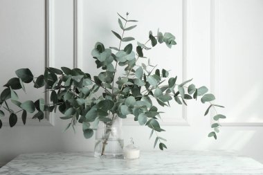 Beyaz duvarın yanındaki mermer masada vazoda yeşil okaliptüs dalları var.