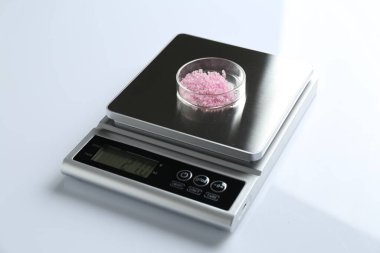 Beyaz arka planda Petri kabı ile laboratuvar ölçeği, yakın plan