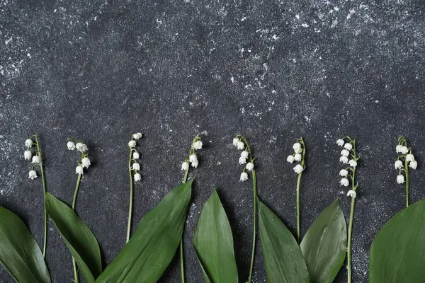 Siyah desenli arka planda, vadideki güzel zambak çiçekleri, düz uzanış. Metin için boşluk