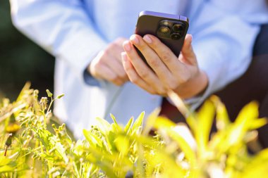 Güneşli bir günde akıllı telefondan bitki tanıma uygulaması kullanan bir kadın.