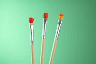 Açık yeşil arkaplanda renkli üç fırça, yakın plan.