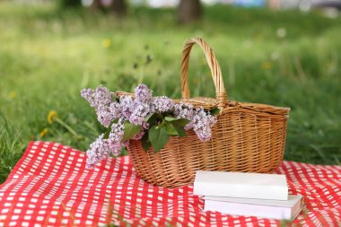 Kitaplar, battaniye ve hasır sepet açık yeşil çimlerde leylak çiçekleri