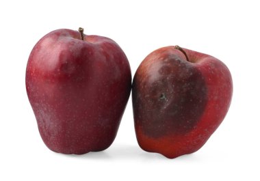 Tüm çürük elma ve sağlıklı olan beyazda izole edilmiş.