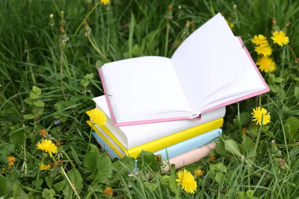 Yeşil çimlerin üzerine yığılmış kitaplar, yakın plan.