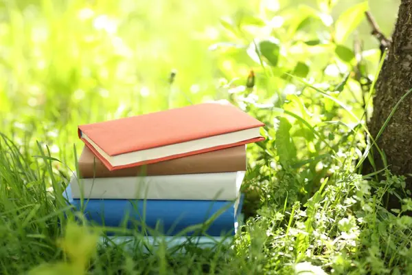 Yeşil çimenler üzerine farklı istiflenmiş kitaplar.