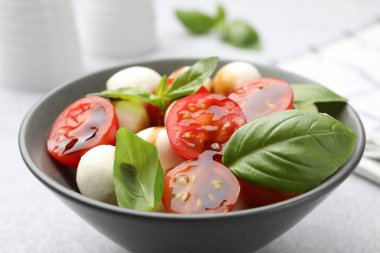 Mozarella soslu lezzetli salata, domates ve fesleğen, yakın plan.