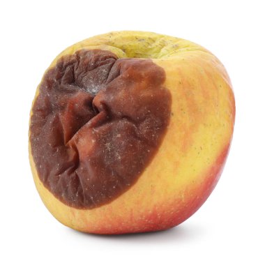 Bir çürük elma beyazda izole edilmiş.