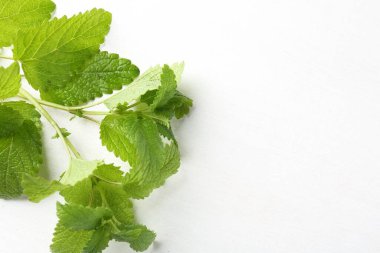 Beyaz masadaki taze limon merhemi yaprakları, üst manzara. Metin için boşluk