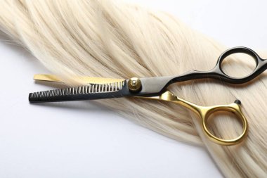 Beyaz zemin üzerinde saç kilidi ve makas, üst görünüm