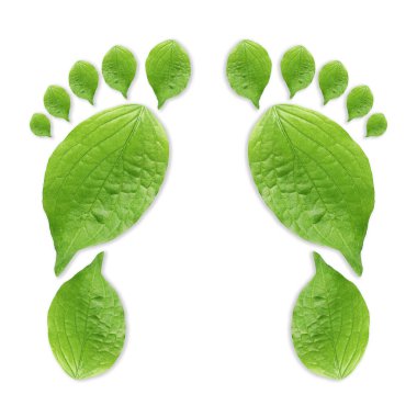Beyaz arka planda yeşil yapraklardan yapılmış insan ayak izleri. Çevre bakımı, ekoloji koruması, CO2 emisyonunun azaltılması