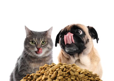 Beyaz arka planda bir yığın kuru hayvan yiyeceği olan sevimli kedi ve köpekler.