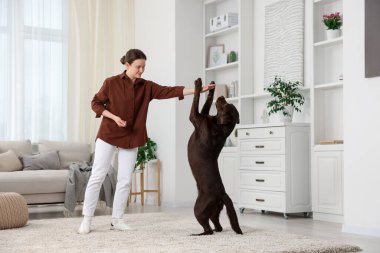 Güzel bir kadın köpeğini evde eğitiyor.