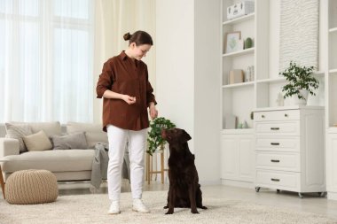 Güzel bir kadın köpeğini evde eğitiyor.