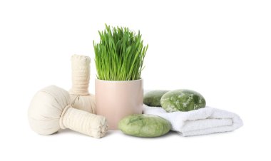 Spa composition with wheatgrass and herbal bags isolated on white