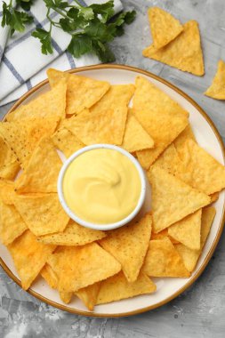 Lezzetli peynir sosu kasede, nacho cipsi ve maydanoz gri masada, düz yerde.