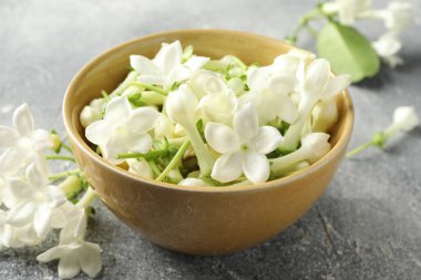 Güzel yasemin çiçekleri kasede Gri masada, yakın plan