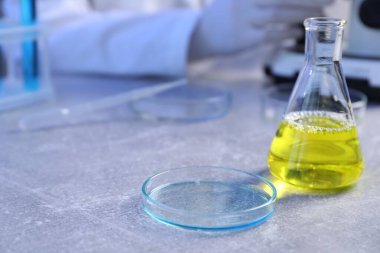 Petri kabı ve matarada örnekler var. Laboratuvarda çalışan bilim adamı, seçici odaklanma