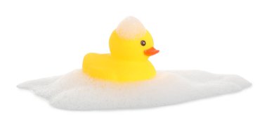 Beyaz bir ördek ve köpük.