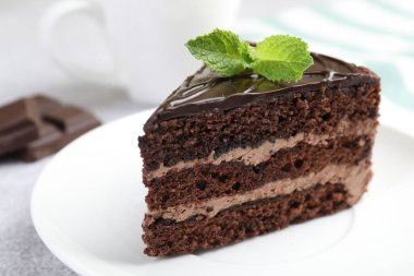 Bir parça lezzetli çikolatalı pasta, üzerinde nane şekeri, yakın plan.