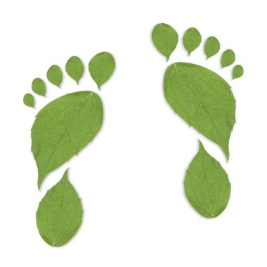 Beyaz arka planda yeşil yapraklardan yapılmış insan ayak izleri. Çevre bakımı, ekoloji koruması, CO2 emisyonunun azaltılması