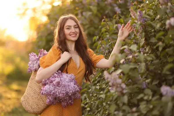 Gülümseyen kadın sabah çalıların yanında bir çanta leylak çiçeğiyle