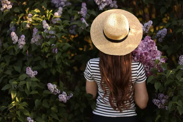 Leylak çiçeklerinin arasında hasır şapkalı bir kadın ve açık hava, arka manzara. Metin için boşluk