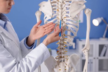 Doktor klinikteki insan iskeleti modelinin bölümlerini gösteriyor.