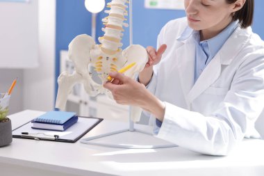 Doktor, klinikteki masadaki insan omurga modeline işaret ediyor.