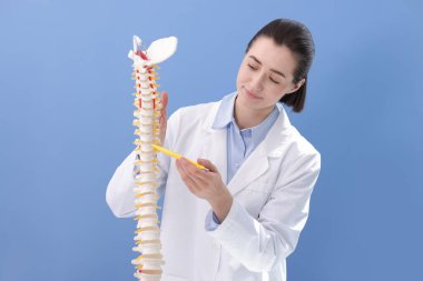 Doktor, mavi duvarın yakınındaki insan omurga modelini işaret ediyor.