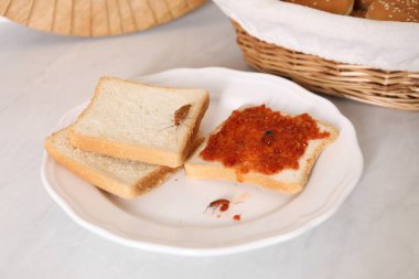 Ekmek üzerinde sürünen hamamböcekleri. Işık masasında, yakın plan.