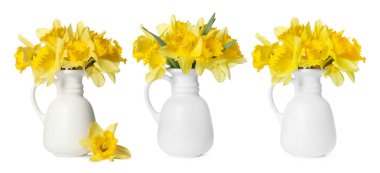 Vazodaki güzel nergisler beyaza izole edilmiş.